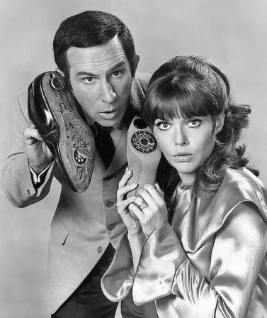 Barbara Feldon